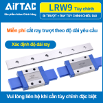 Con trượt vuông mini bản rộng tiêu chuẩn LRW9BKLH ( MGW9H  )