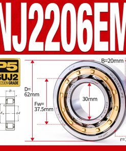Vòng bi đũa - bạc đạn đũa trụ NJ2206EM (Chặn trục 1 chiều - lồng cách bi Đồng - kt 30*62*20 mm)
