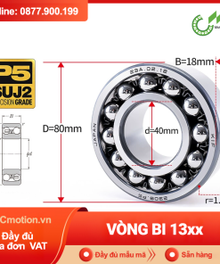 Vòng bi tự lựa 13xx