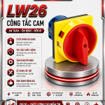 LW26 Công tắc cam