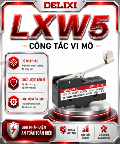 LXW5 Công tắc vi mô